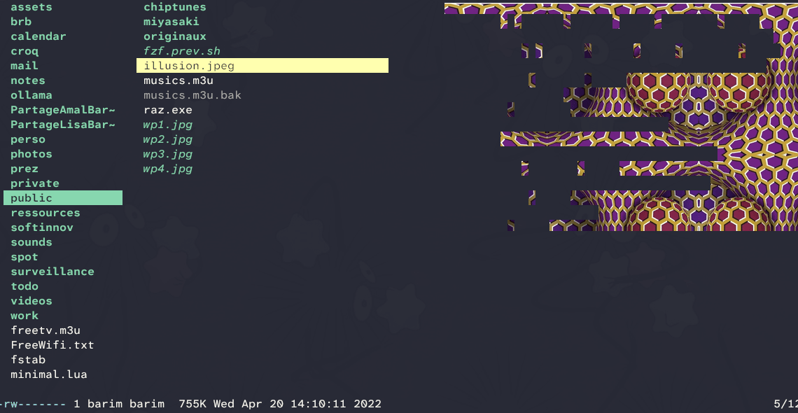 Affichage incorrecte dans lf terminal file manager des images